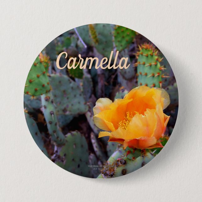 Orange prickly pear opuntia cactus flower photo 3 inch round button (Front)