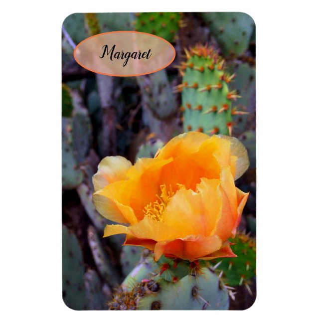 Orange Prickly Pear Opuntia Cactus Flower Photo Magnet (Vertical)
