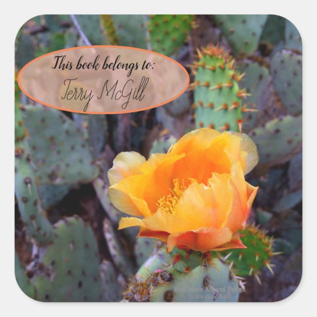 Orange prickly pear opuntia cactus flower photo square sticker (Front)