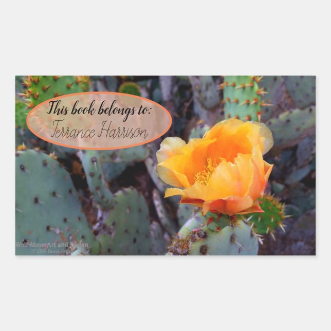 Orange prickly pear opuntia cactus flower photo sticker (Front)