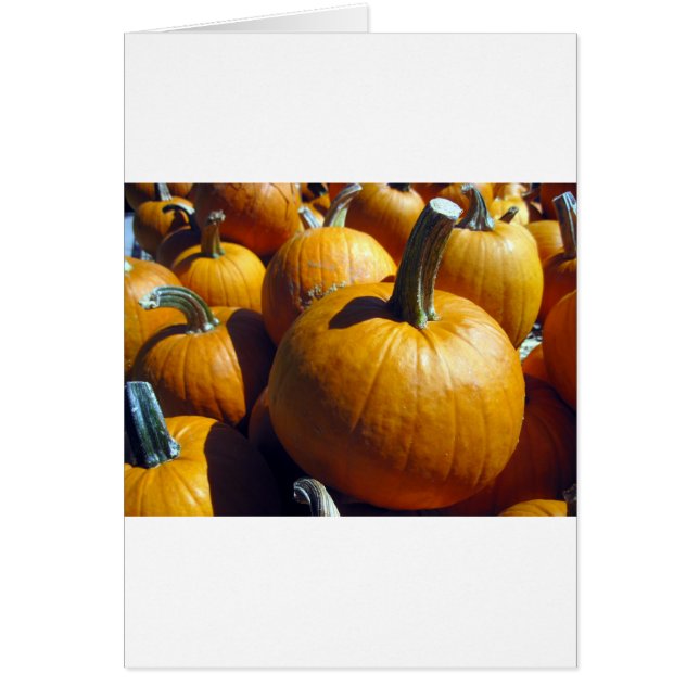 Orange Pumpkins (Front)