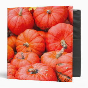 Orange pumpkins at market, Germany Binder
