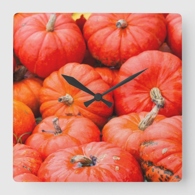 Orange pumpkins at market, Germany Square Wall Clock (Front)