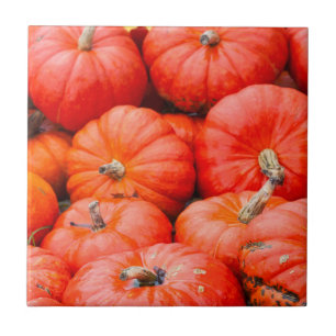 Orange pumpkins at market, Germany Tile