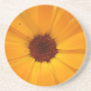 Orange Rain Daisy Coasters