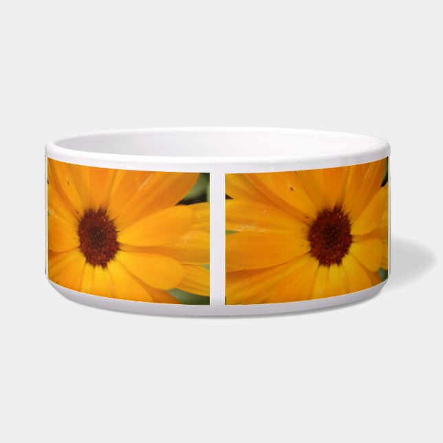 Orange Rain Daisy Dog Bowl (Back)