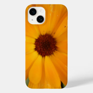 Orange Rain Daisy iPhone 5 Coque