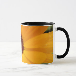 Orange Rain Daisy Mug