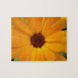 Orange Rain Daisy Puzzle