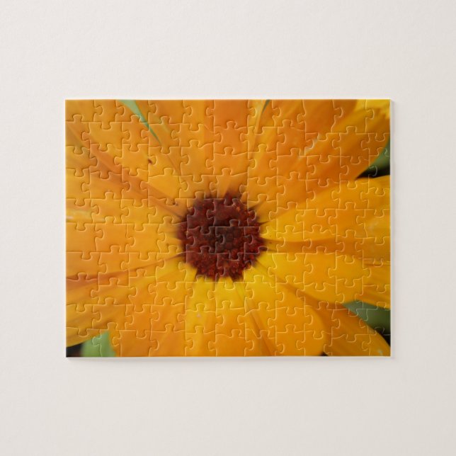 Orange Rain Daisy Puzzle (Horizontal)