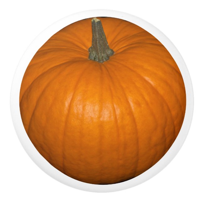 Orange Realistic Fall Halloween Pumpkin Food Photo Ceramic Knob (Front)