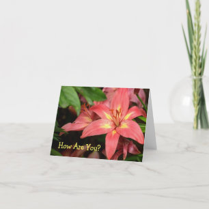 "ORANGE-RED  AND YELLOW DAY LILY" CARD