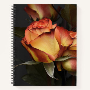 Orange, Red and Yellow Roses Notebook
