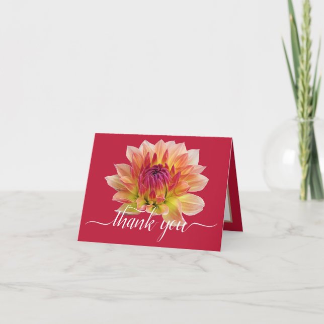 Orange Red Dahlia Flower Red Background Thank You Card (Front)