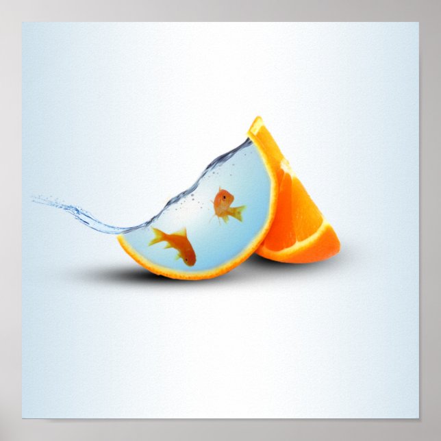 Orange & Red Fish Poster (Front)