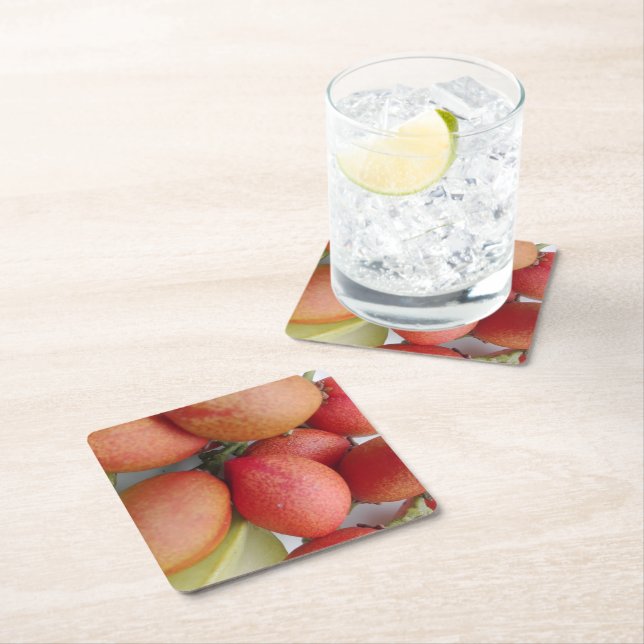 ORANGE & RED NATURE PROTECTION MESSAGE SQUARE PAPER COASTER (Insitu)