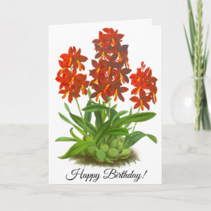 Orange Red Orchid Flower Personalized Card