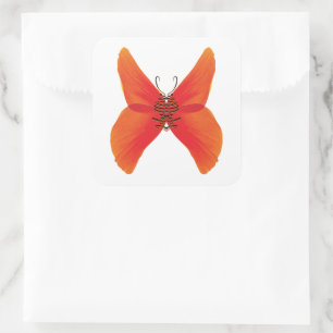Orange Red Poppy Butterfly with Your Name Square Sticker