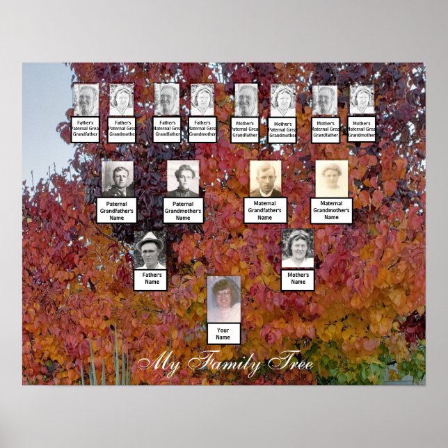 Orange, Red, Purple Leaf Autumn Family Tree Poster (Front)