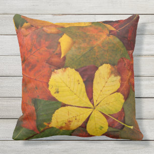 Orange, Red, Yellow Outdoor Autumn Leaves  Pillow