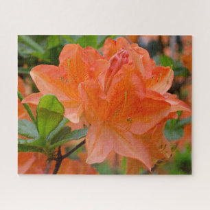 Orange Rhododendron Jigsaw Puzzle