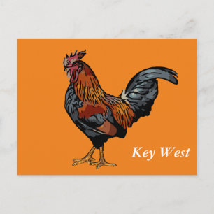Orange Rooster Key West Post Card