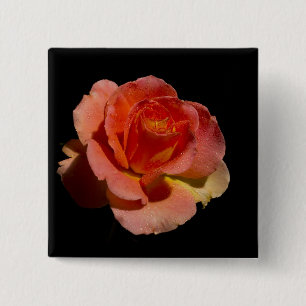 Orange Rose 2 Inch Square Button