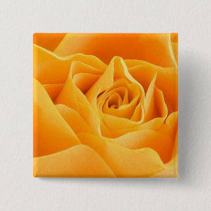 Orange Rose 2 Inch Square Button