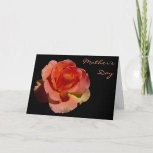 Orange Rose 2 Mother's Day Card