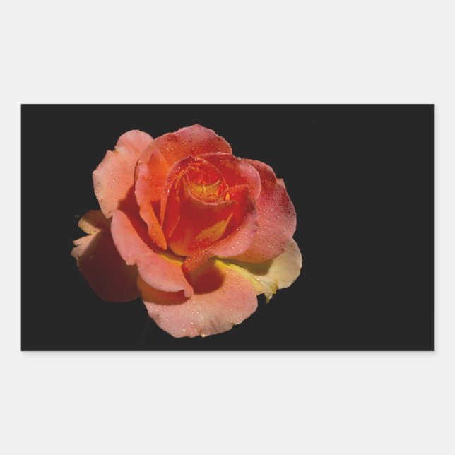 Orange Rose 2 Sticker (Front)
