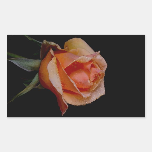 Orange Rose 3 Sticker (Front)
