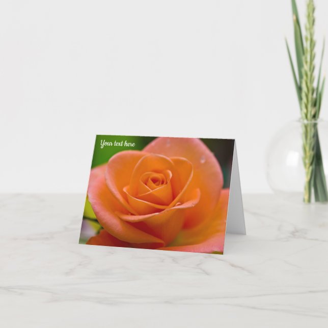 Orange Rose After the Rain Greeting card (Front)