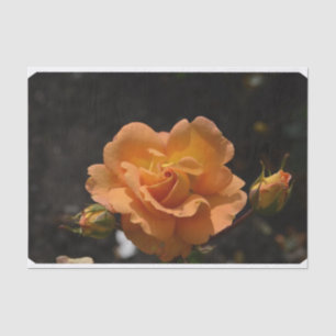 Orange Rose Bush Tissue Paper