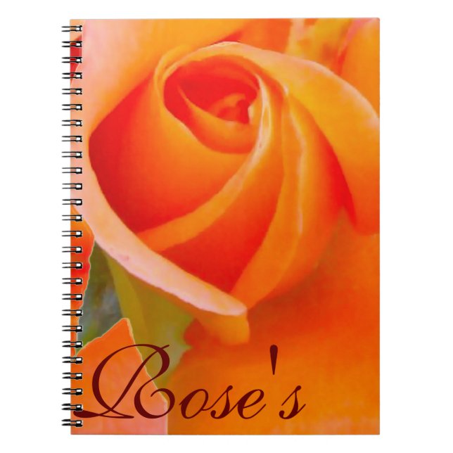 Orange Rose by Alexandra Cook Notebook (Front)