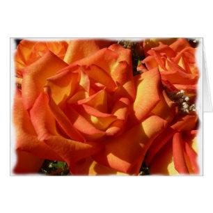 Orange Rose Card