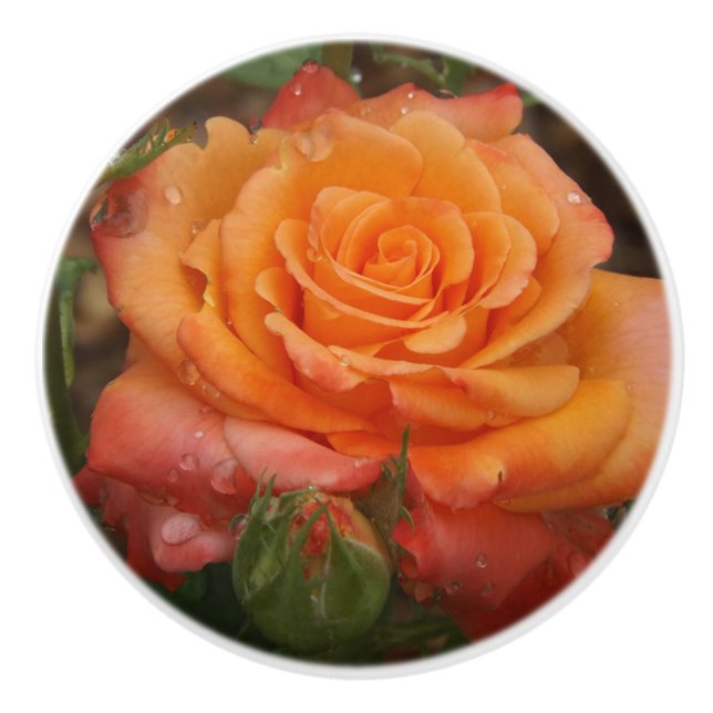 Orange Rose Ceramic Pull (Front)