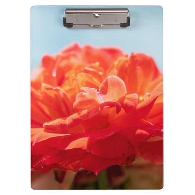 Orange rose clipboard (Front)