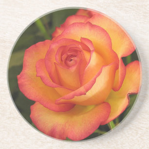 Orange Rose Coaster