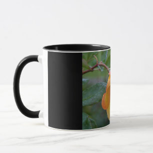Orange Rose Floral 2 Mug
