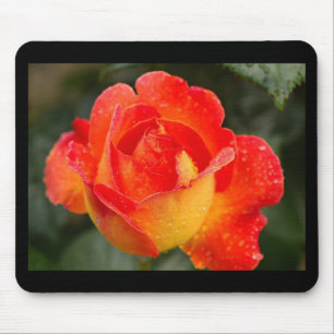 Orange Rose Floral Mouse Pad