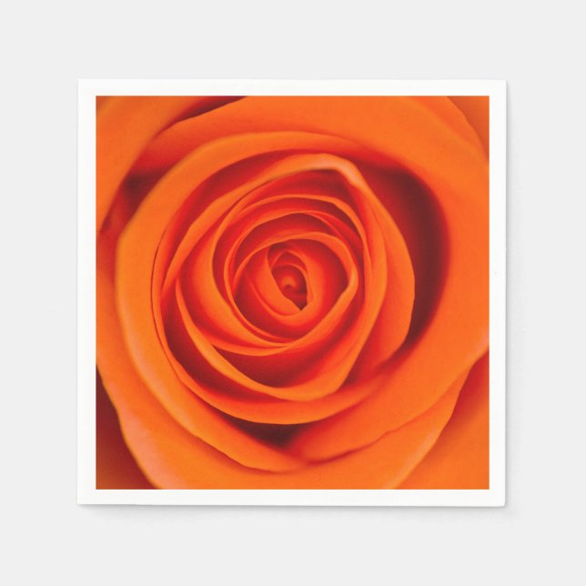 Orange rose flower Cocktail paper napkin (Front)