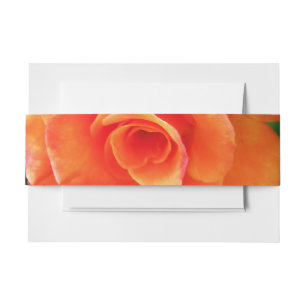 Orange rose flower invitation belly band