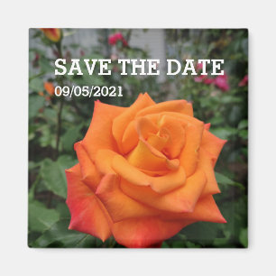 Orange rose flower magnet