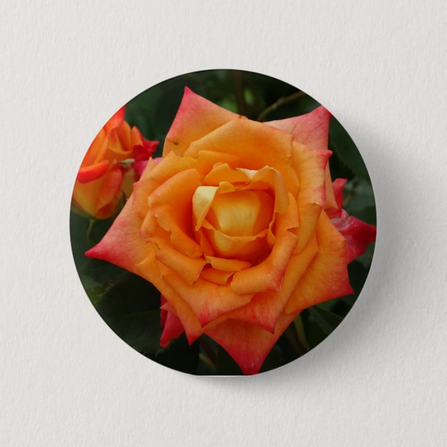 Orange Rose Flower Photo Round Badge 2 Inch Round Button (Front)