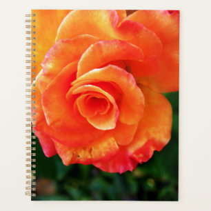 Orange rose flower planner