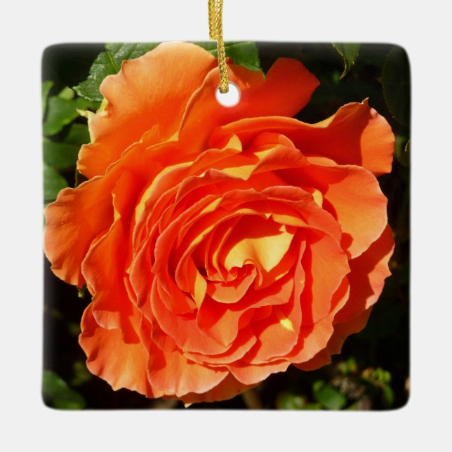 Orange Rose I Pretty Floral Ceramic Ornament (Front)