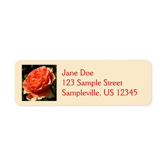 Orange Rose II Beautiful Floral (Front)