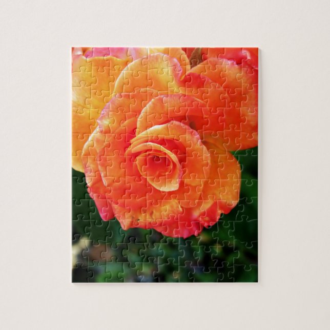 Orange rose jigsaw puzzle (Vertical)