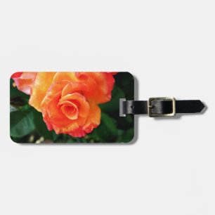 Orange rose luggage tag