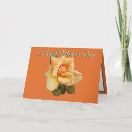 Orange Rose Photo Red Orange Mothers Day Card